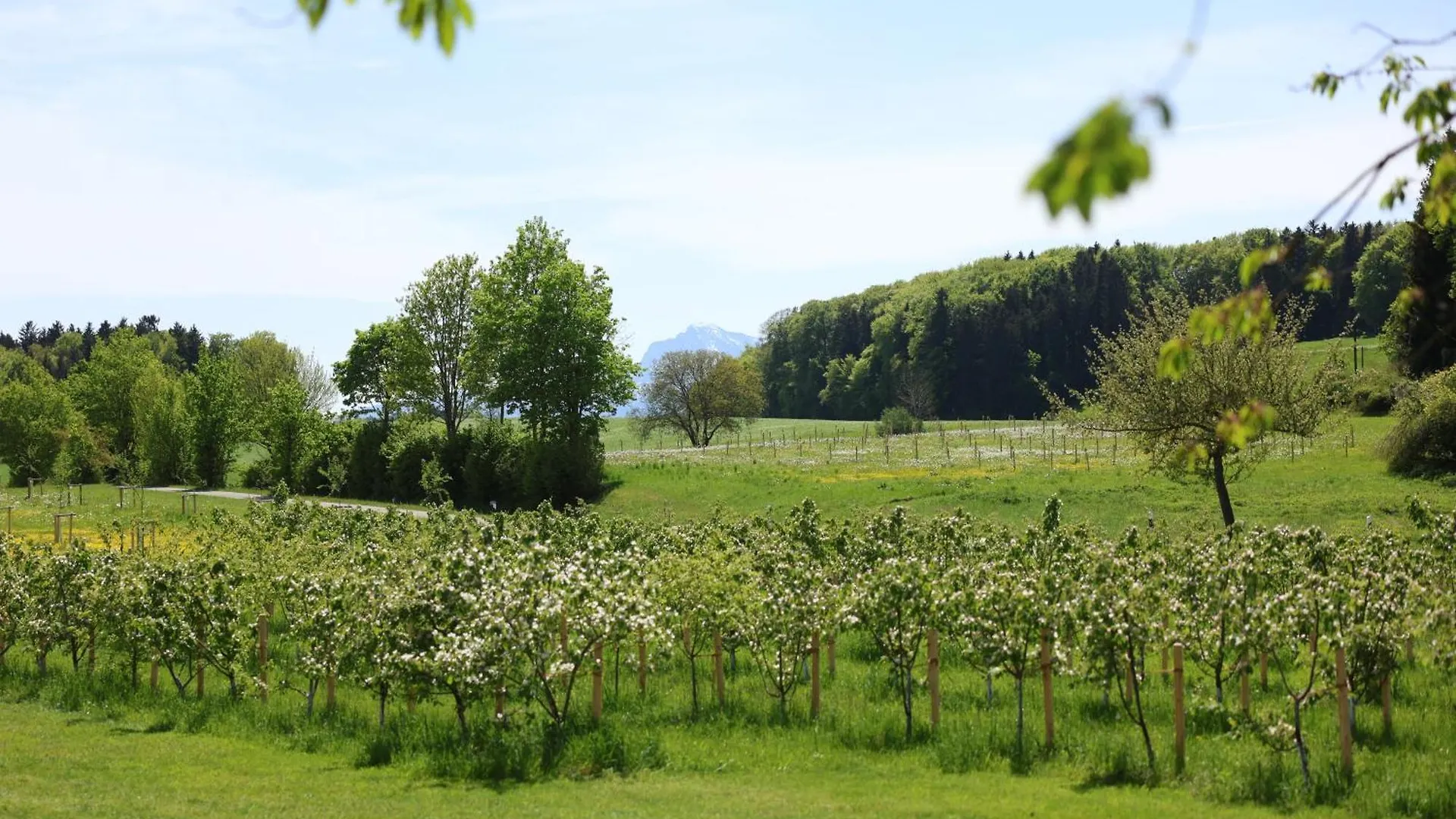 Villa Seeberg - By 